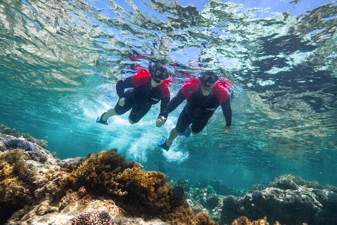 Rottnest Island Guided Snorkel Boat Experience: Reef & Wrecks