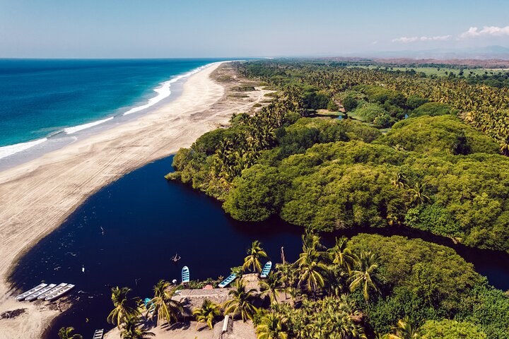 Ventanilla Turtle Release & Mangrove Kayak Expedition