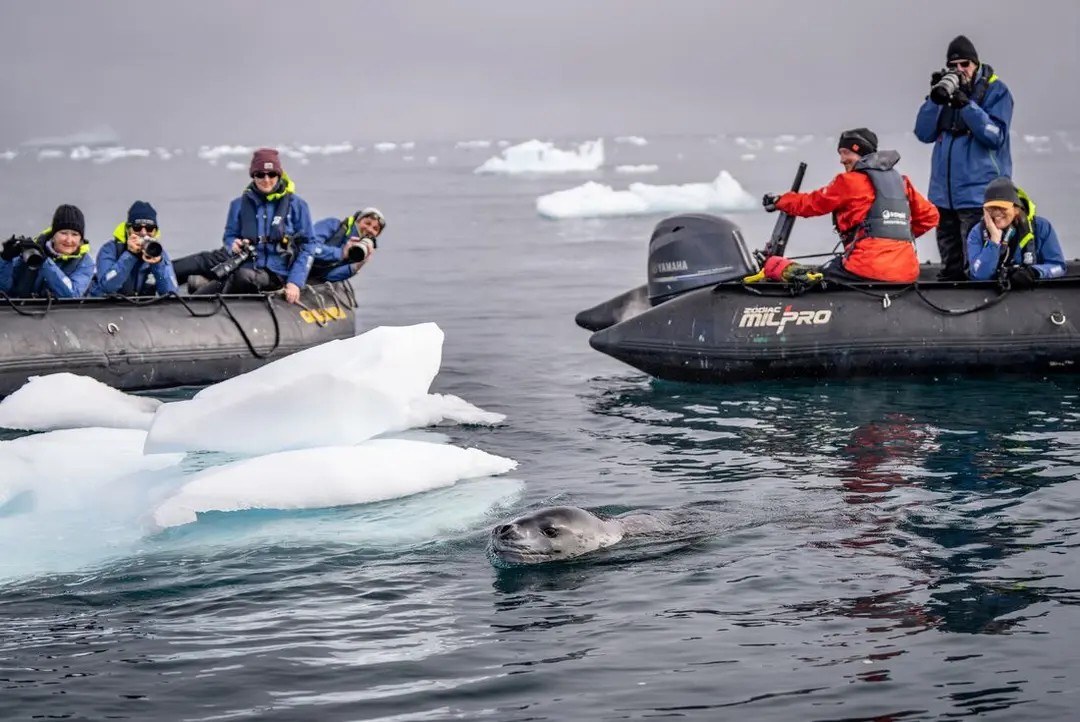 Zodiac Expedition: Wildlife & Iceberg Safari Among the Floes