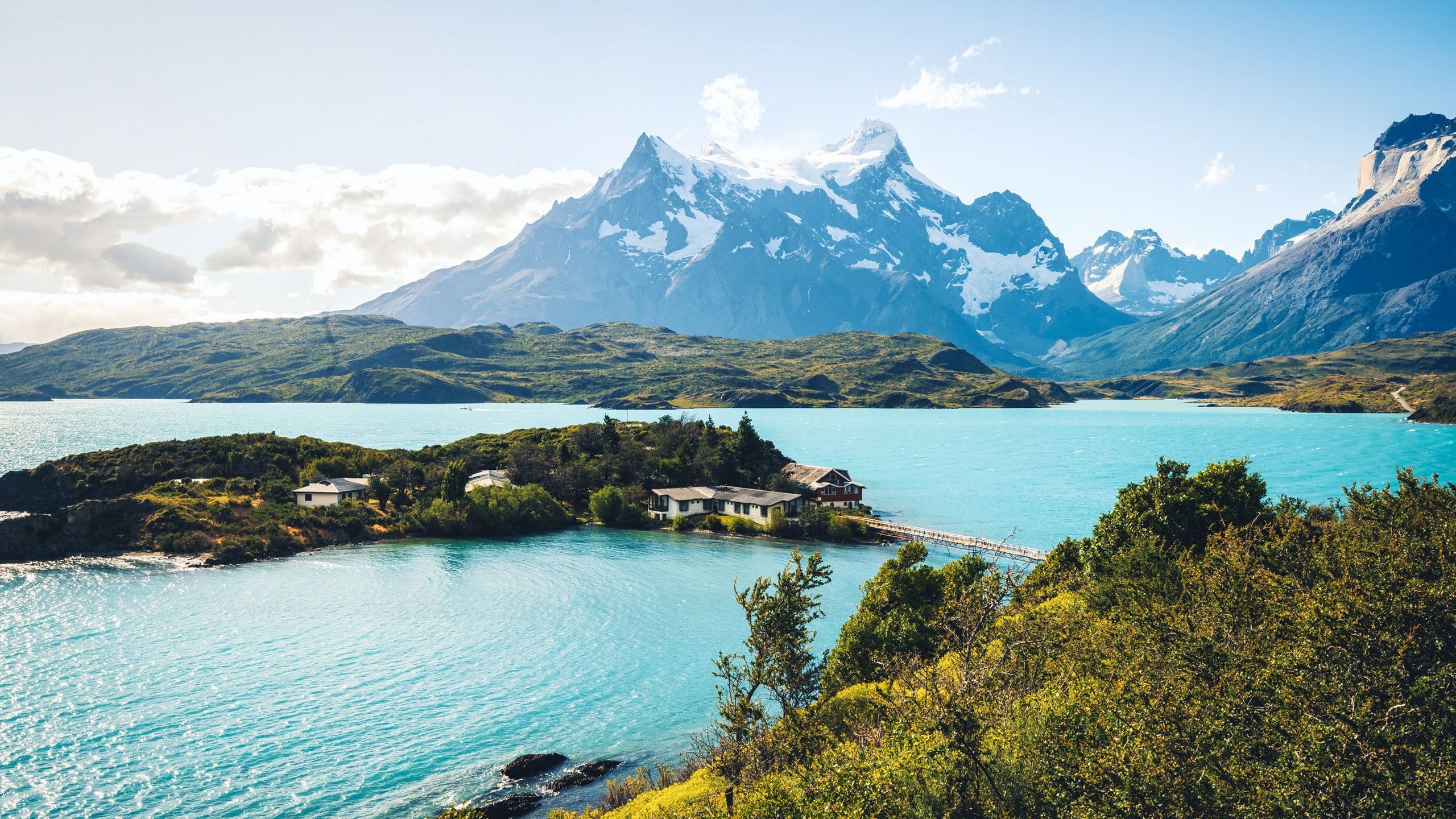 Patagonia National Park: Private Half-Day Wildlife Trek