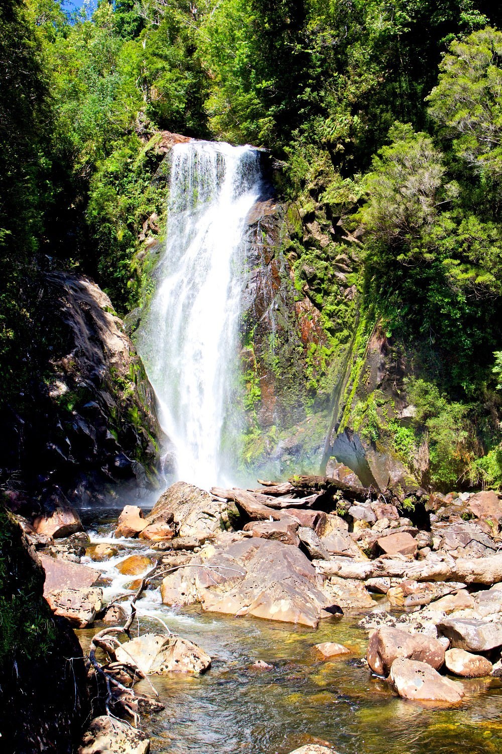 Parque Aiken del Sur: Private Botanical & Waterfall Exploration