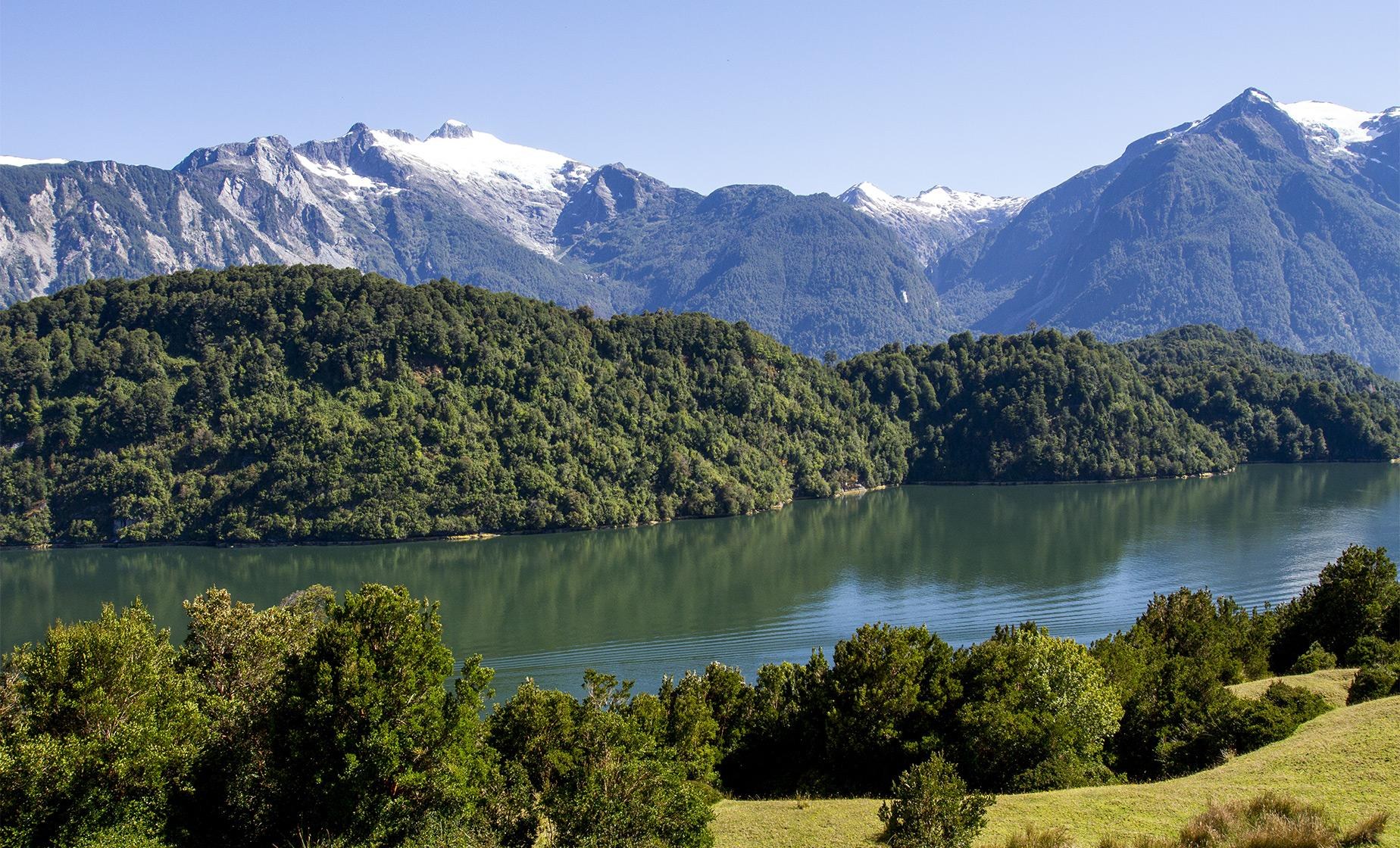 Patagonia Biosphere Expedition: Full-Day Private Wilderness Tour