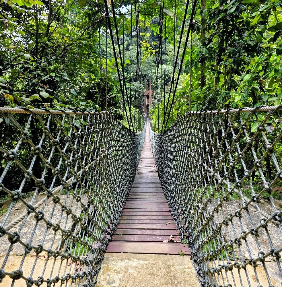 Ulu Temburong National Park: Brunei's 'Green Jewel' Canopy Walk
