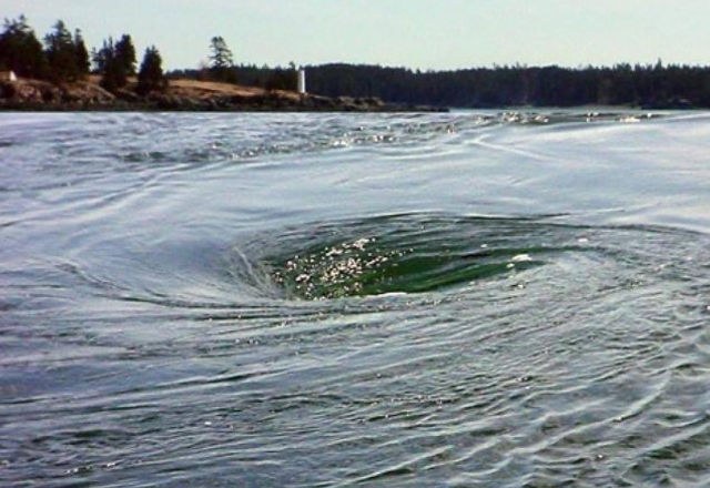 Old Sow Whirlpool: Private Boat Charter on Passamaquoddy Bay