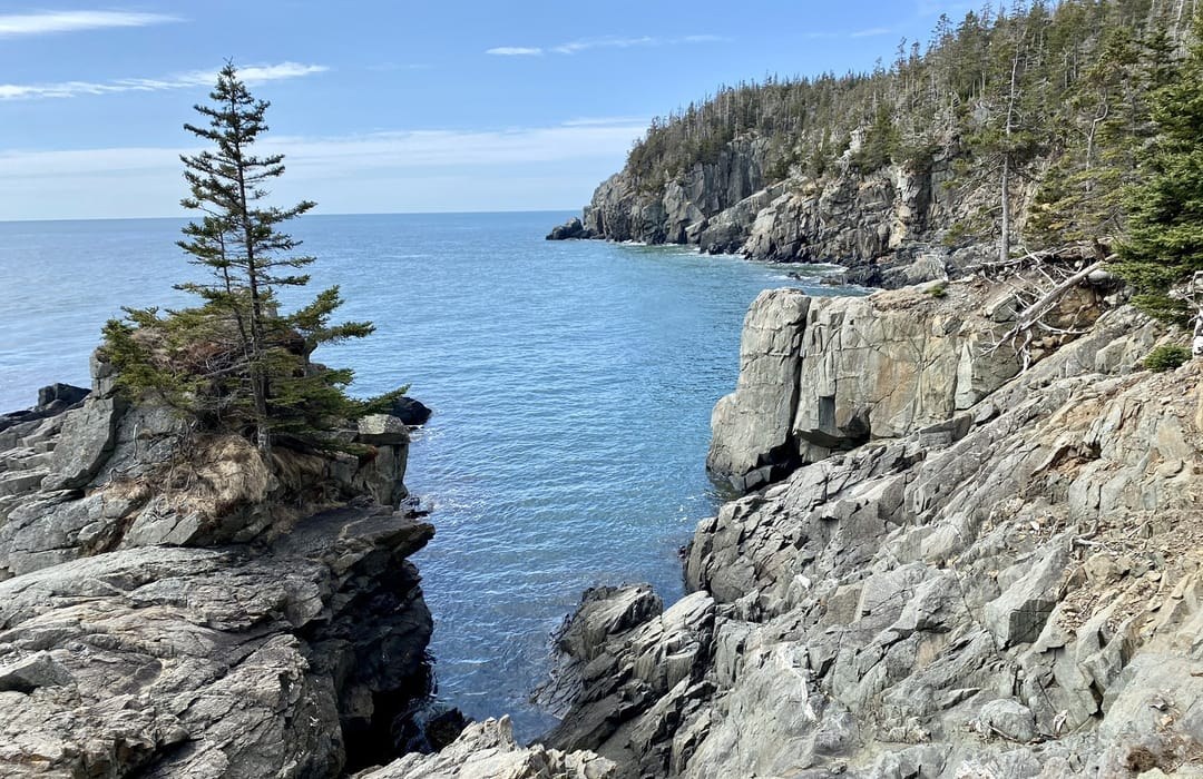 Quoddy Head State Park: Lighthouse Hike & Bold Coast Cliffs