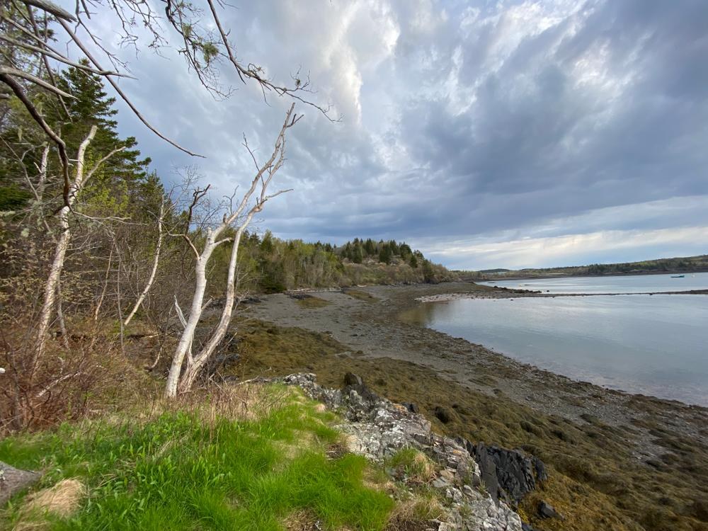 Shackford Head State Park: Guided Coastal Headland Hike