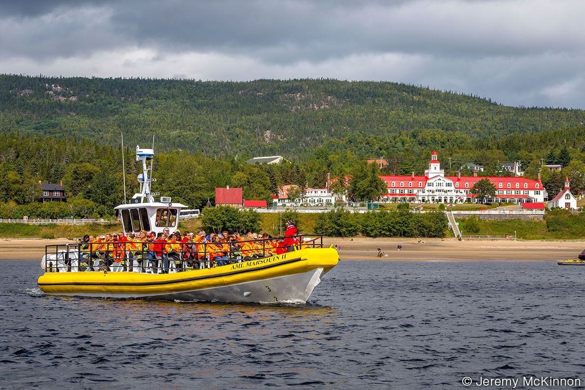 St. Lawrence Beluga & Marine Wildlife Expedition (Zodiac)