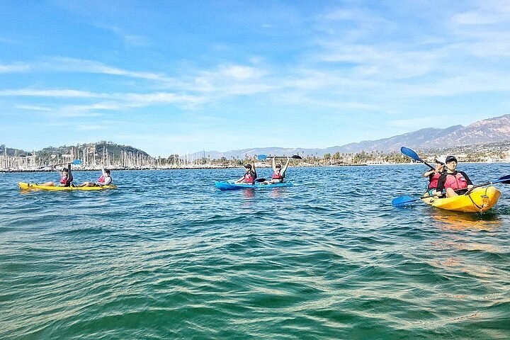 Santa Barbara Harbor: Private 2-Hour Wildlife Kayak Tour