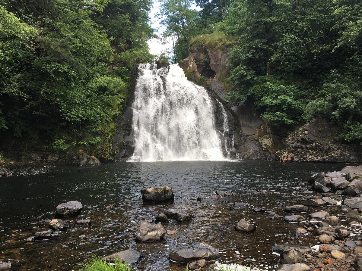 Youngs River Falls, Fort Clatsop & Warrenton Countryside Half-Day