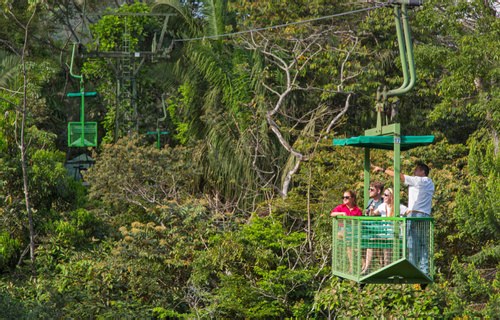 Gamboa Rainforest Aerial Tram & Wildlife Spotting