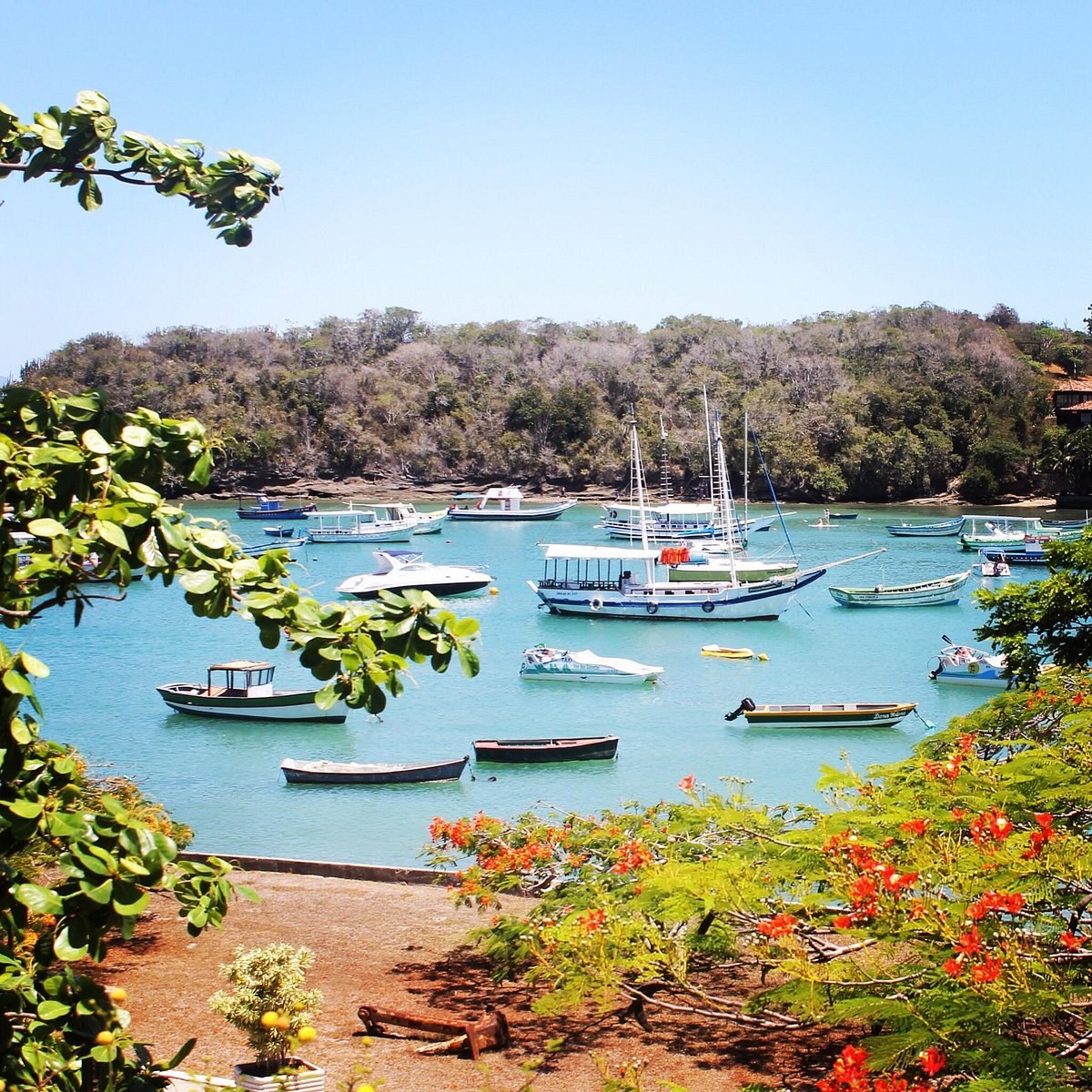 Rua das Pedras & Orla Bardot: Private Guided Heritage Walk
