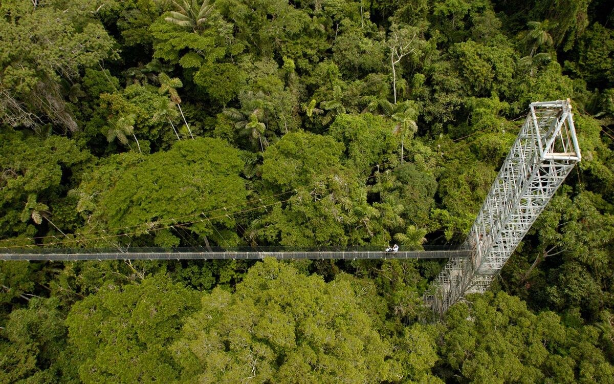 Private Amazonian Rainforest Float-Plane & Canopy Walk