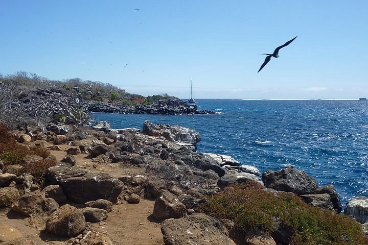 Galápagos Day Expedition: Private Charter to North Seymour
