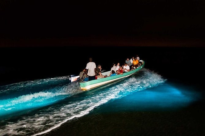 Private Amazon River Skiff Sunset & Bioluminescence Tour