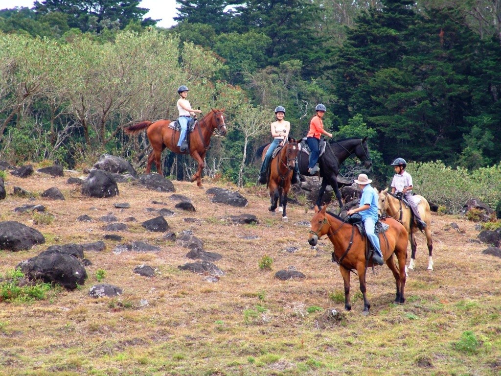 Equatorial Cloud Forest: Private Horseback Ride & Orchid Walk