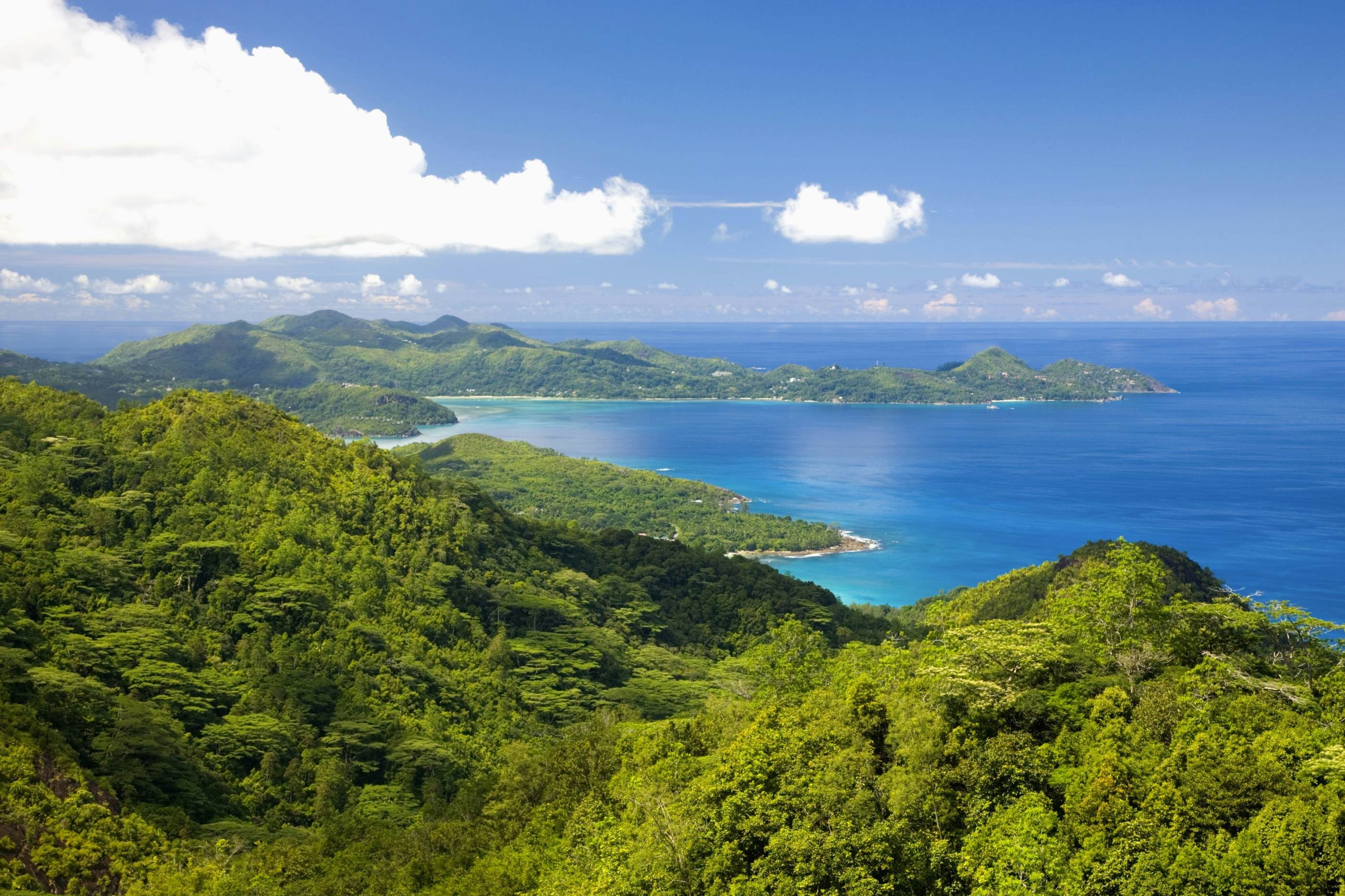 Morne Seychellois National Park: Expert Naturalist Trek