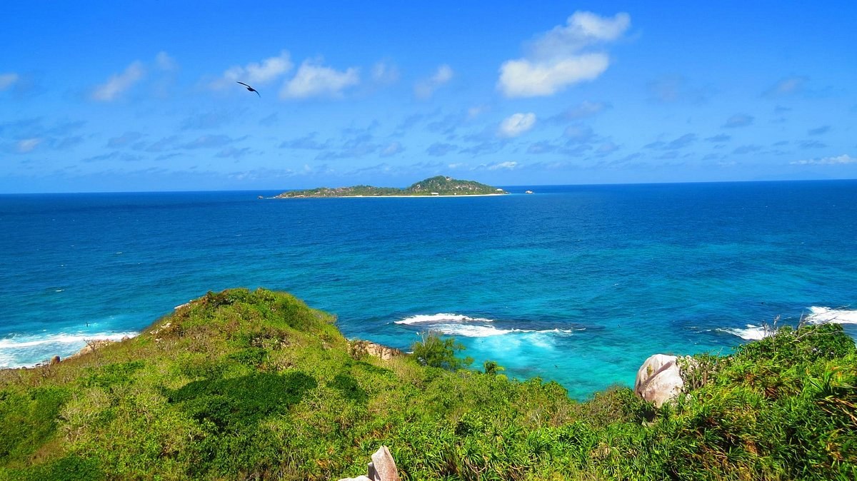 Cousin Island Special Reserve: Private Birding & Conservation Tour