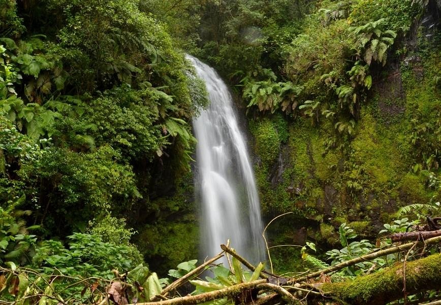 Amber Mountain (Montagne d'Ambre) NP — Rainforest & Waterfalls
