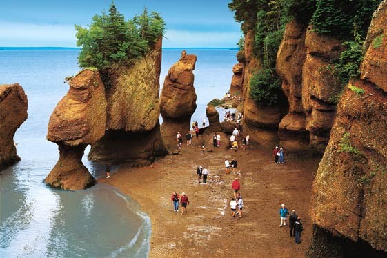 Hopewell Rocks: Private Tidal Walk on the Ocean Floor