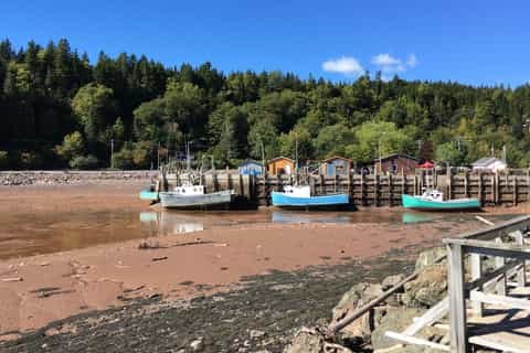 Saint John City Market & Loyalist Heritage: Private Walking Tour