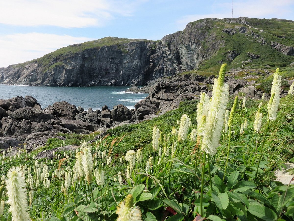 Fishing Point Park Lighthouse Hike & Whale-Watch Clifftop