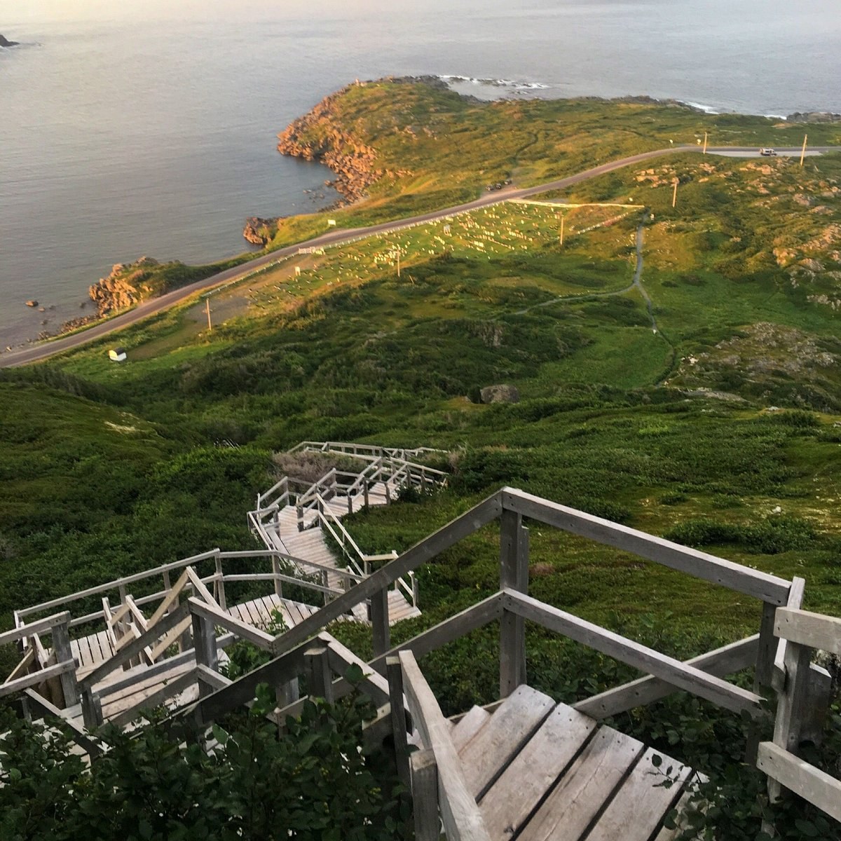 Dare Devil Trail: Sub-Arctic Ridge Walk with Panoramic Views
