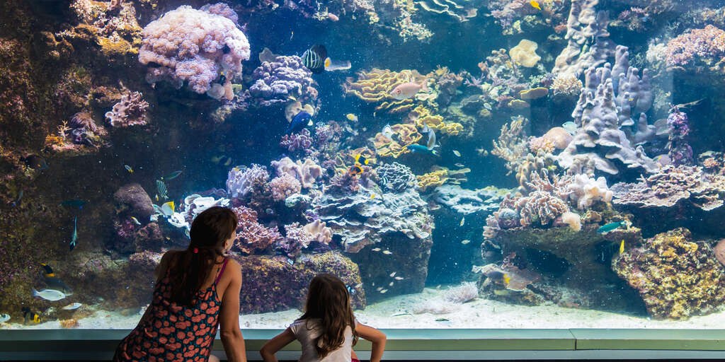 Aquarium des Lagons: Private After-Hours or Expert-Guided Visit