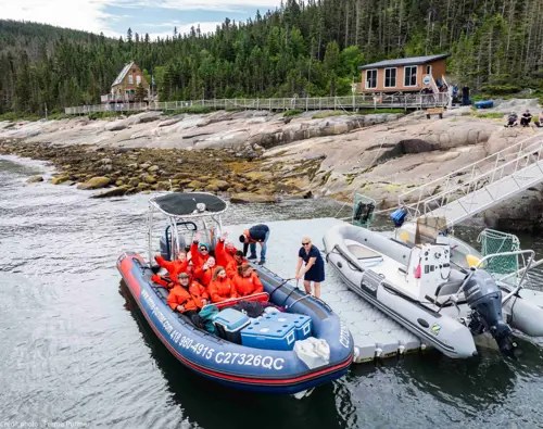 Sept-Îles Archipelago Zodiac Expedition