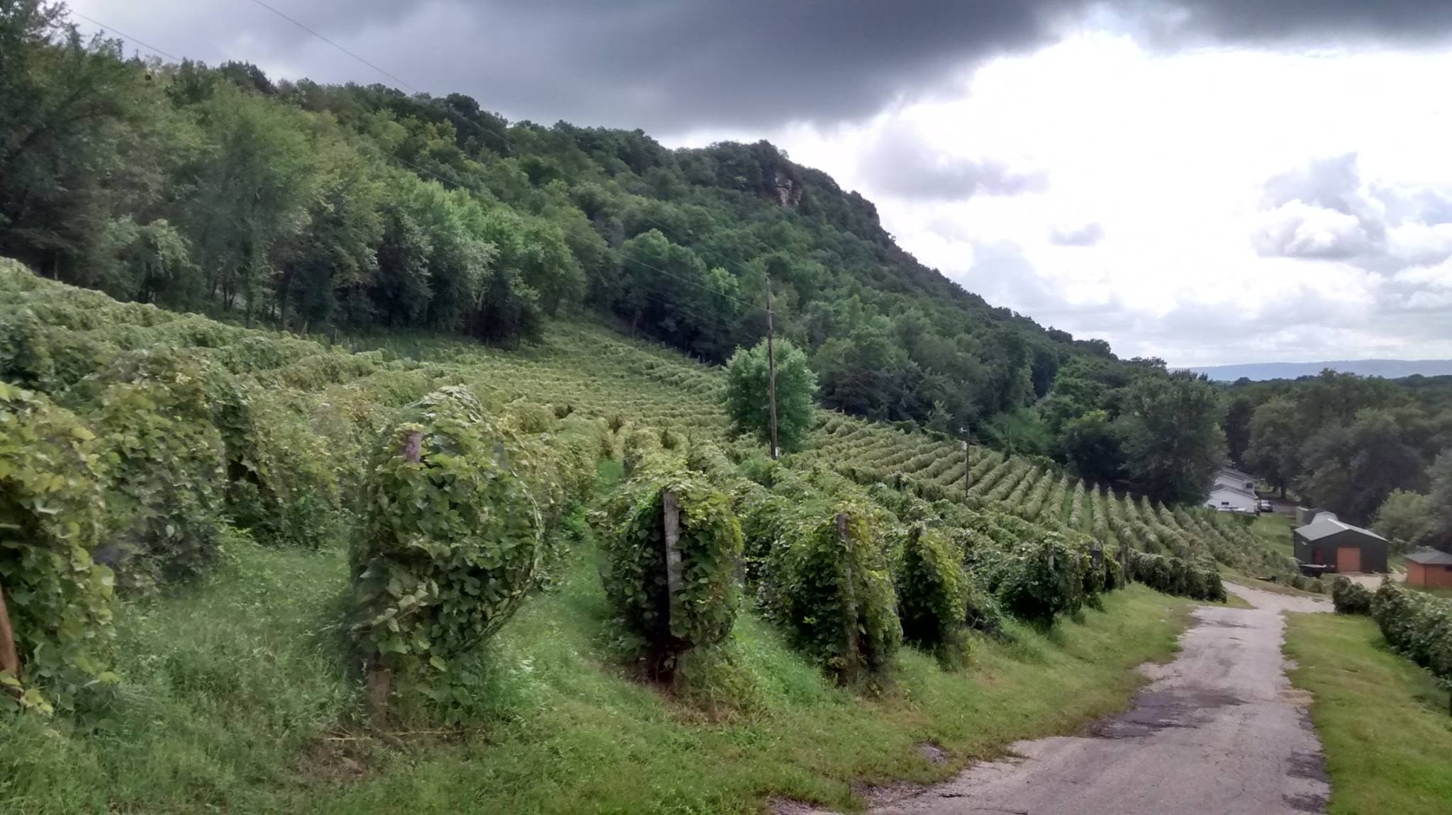 Mississippi River Bluffs Wine Trail: Maiden Rock Winery & Cidery