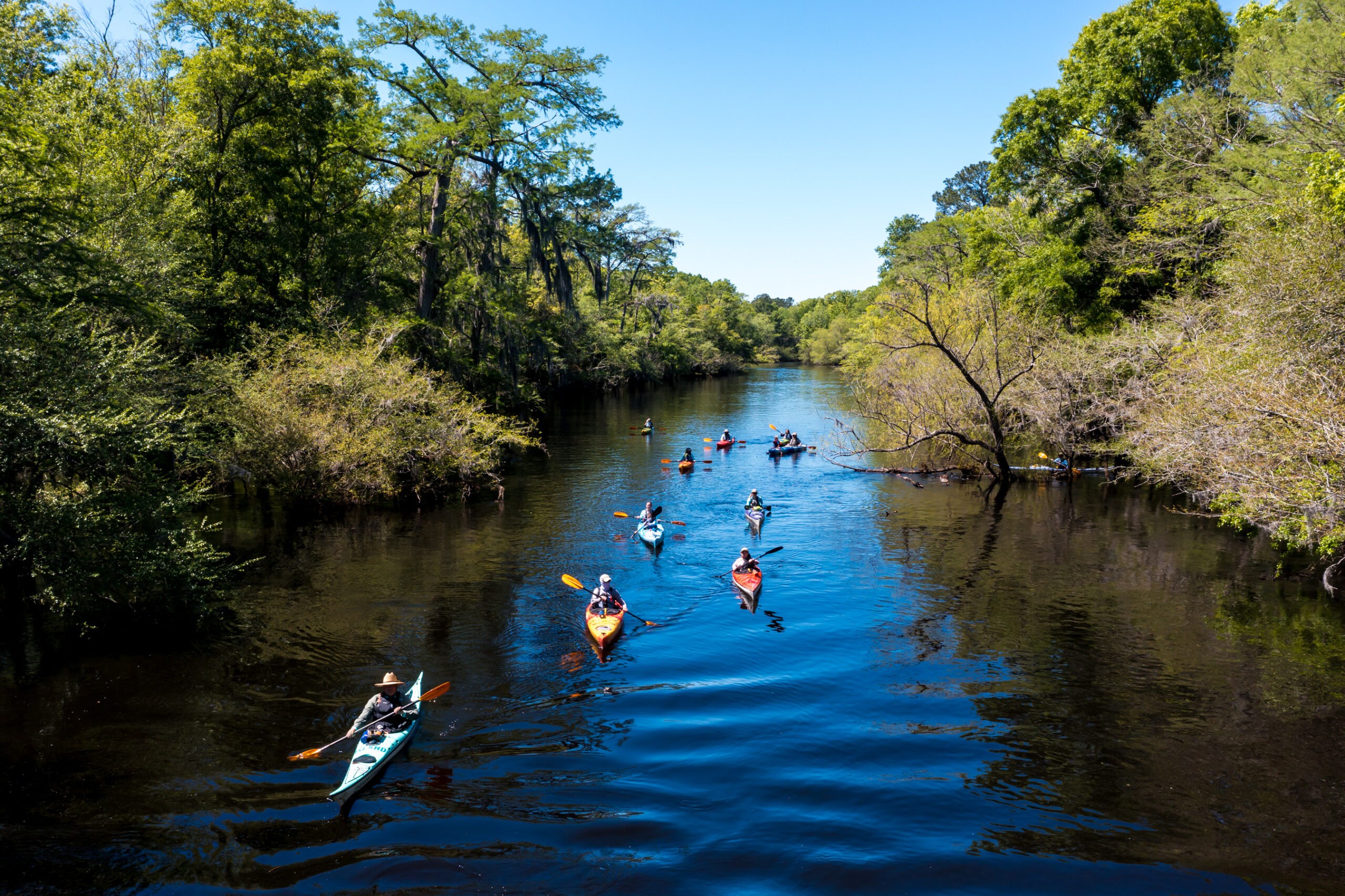 Kayak the Black River Backwaters: Guided Eco-Paddle