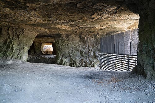 Sodalis Nature Park & Endangered Bat Preserve: Guided Wildlife Walk