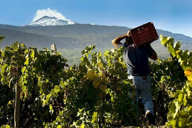 Sicilian Wine & Food Masterclass: Etna DOC Estates & Street Food Ritual