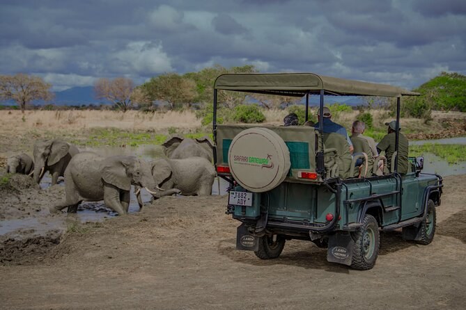 Mikumi National Park Safari: Big Five Day Drive