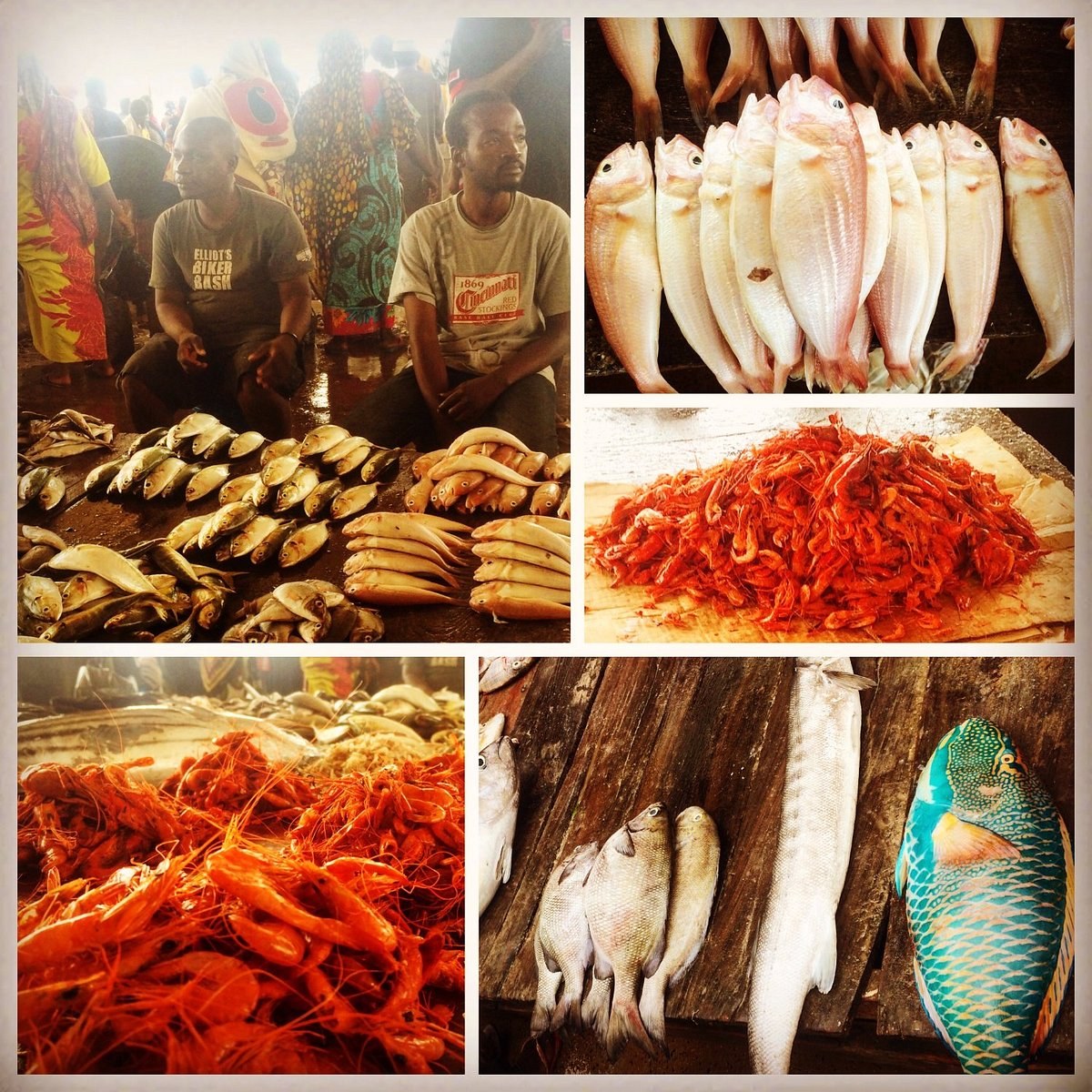 Kivukoni Fish Market & Swahili Cooking Masterclass