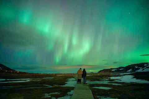 Northern Lights & Arctic Night: Private 8-Seat Chase Tour