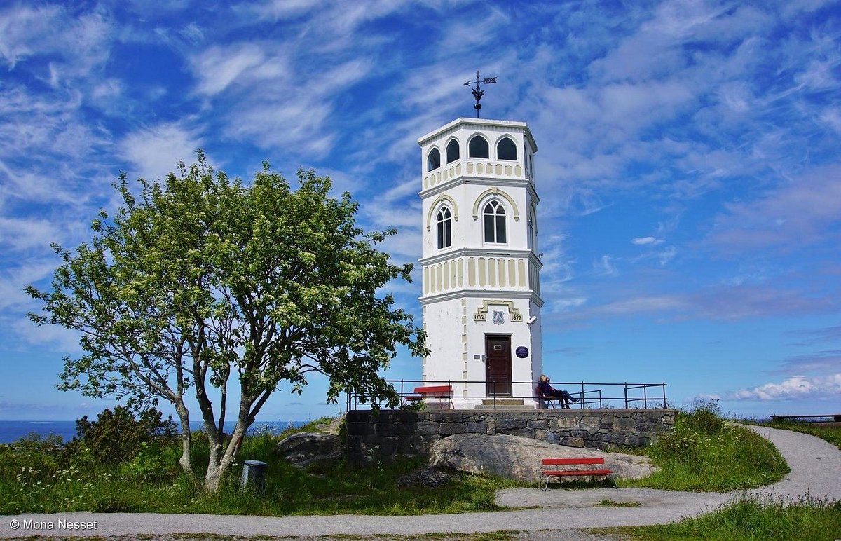 Varden Viewpoint & Innlandet Old Town: Private Walking Tour