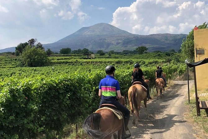 Mt. Vesuvius Summit Hike + Private Winery Lunch in Pompeii