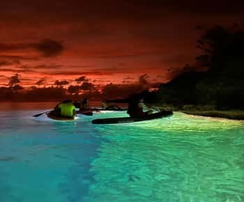 Mangrove Kayak & Seven Colors Sea Sunset Sail