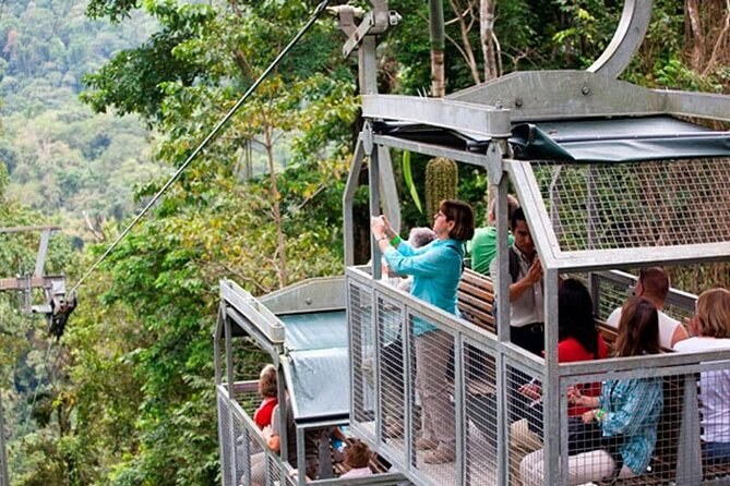 Veragua Rainforest Park: Aerial Tram & Nocturnal Tour