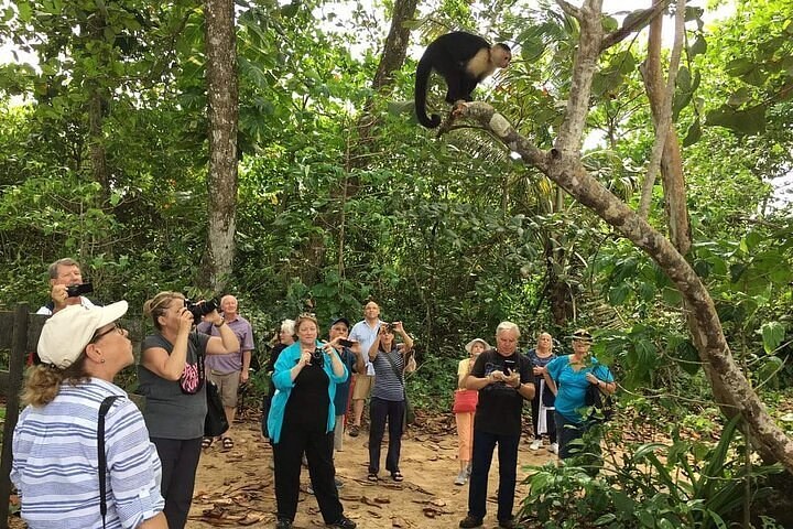 Puerto Limón 6-in-1 Caribbean Highlights: Plantation to Rainforest