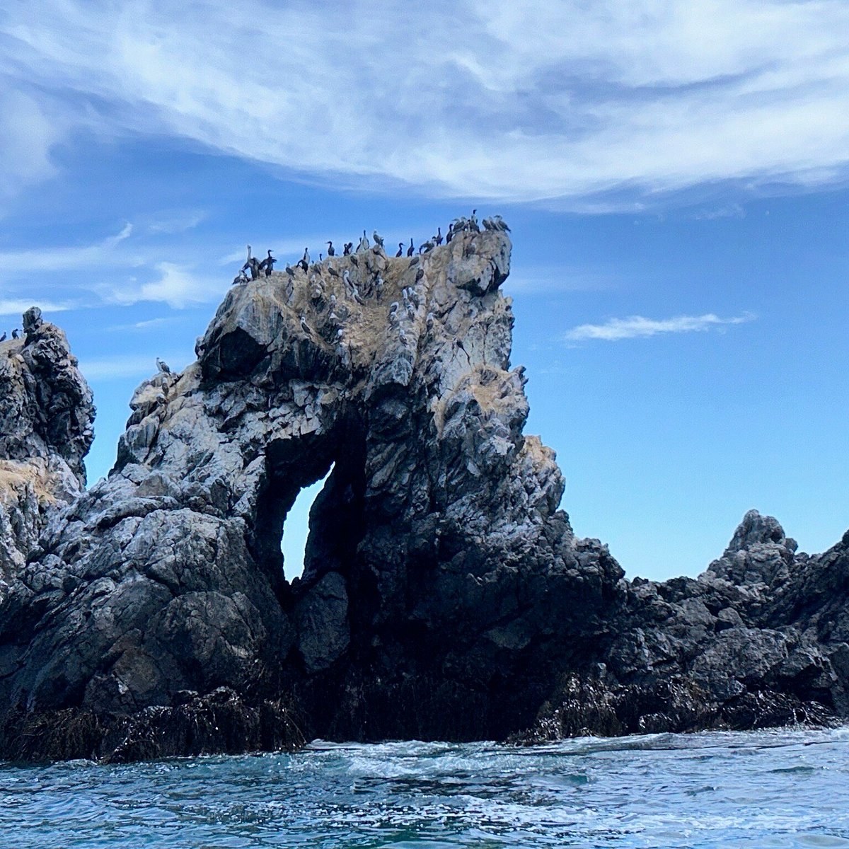 Isla Damas & Humboldt Penguin National Reserve Full-Day Expedition