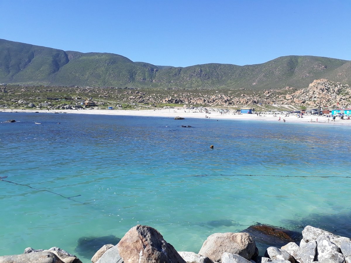 Totoralillo & Guanaqueros: Secluded Bay Luxury Beach Day