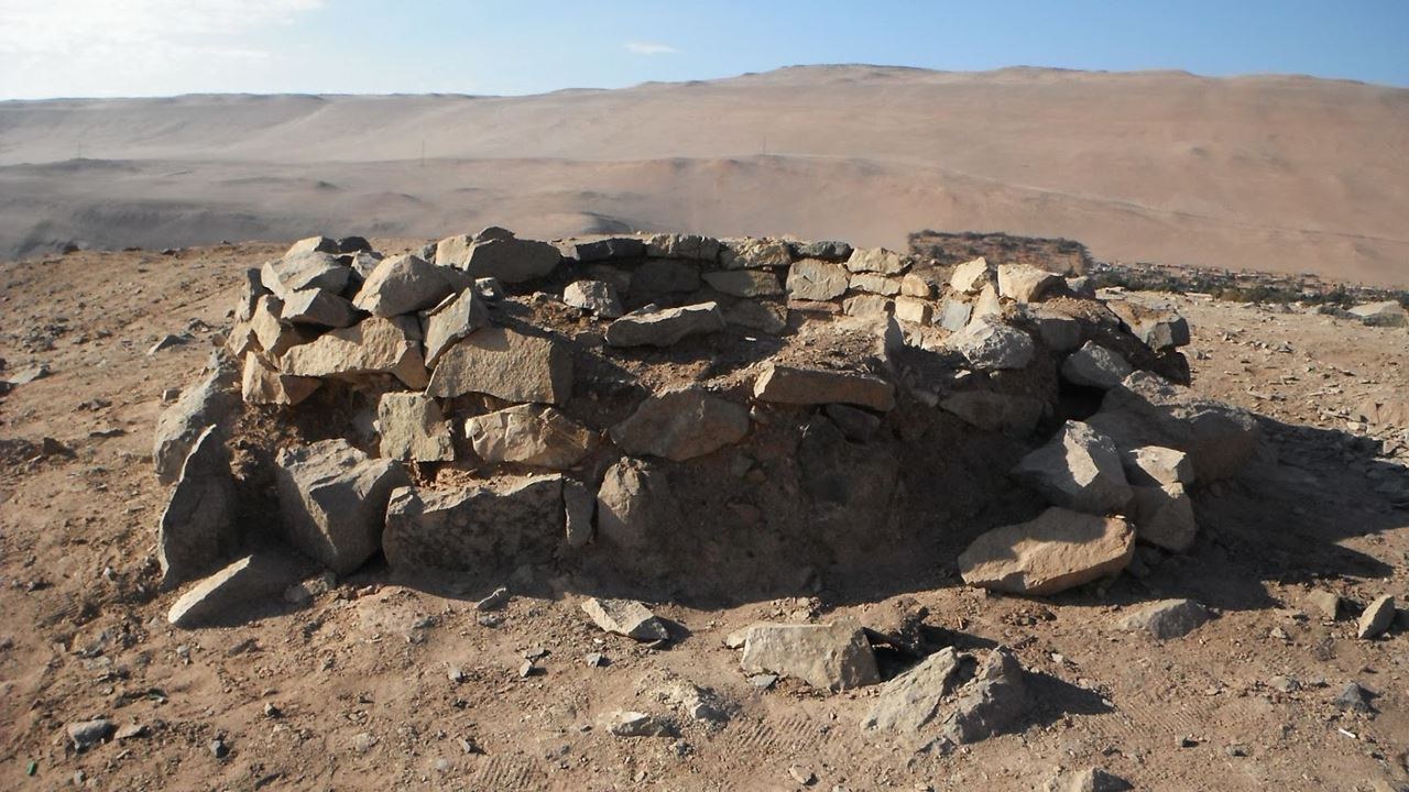 Chinchorro Mummies & Azapa Valley Archaeology Private Tour