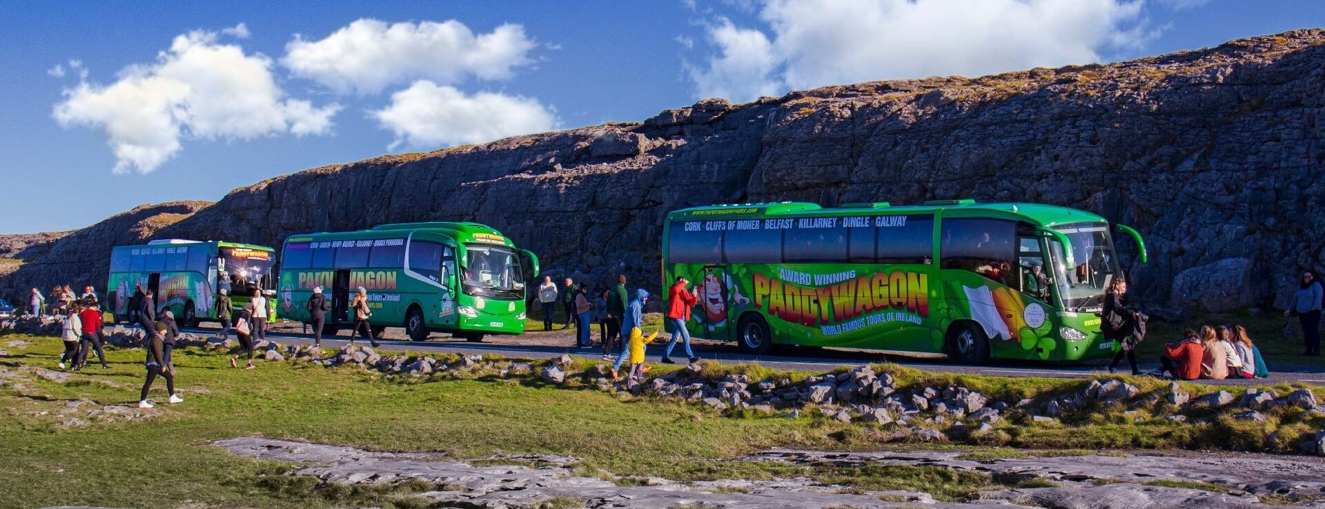 Kilkenny Castle & Medieval City: Small-Group Shore Tour