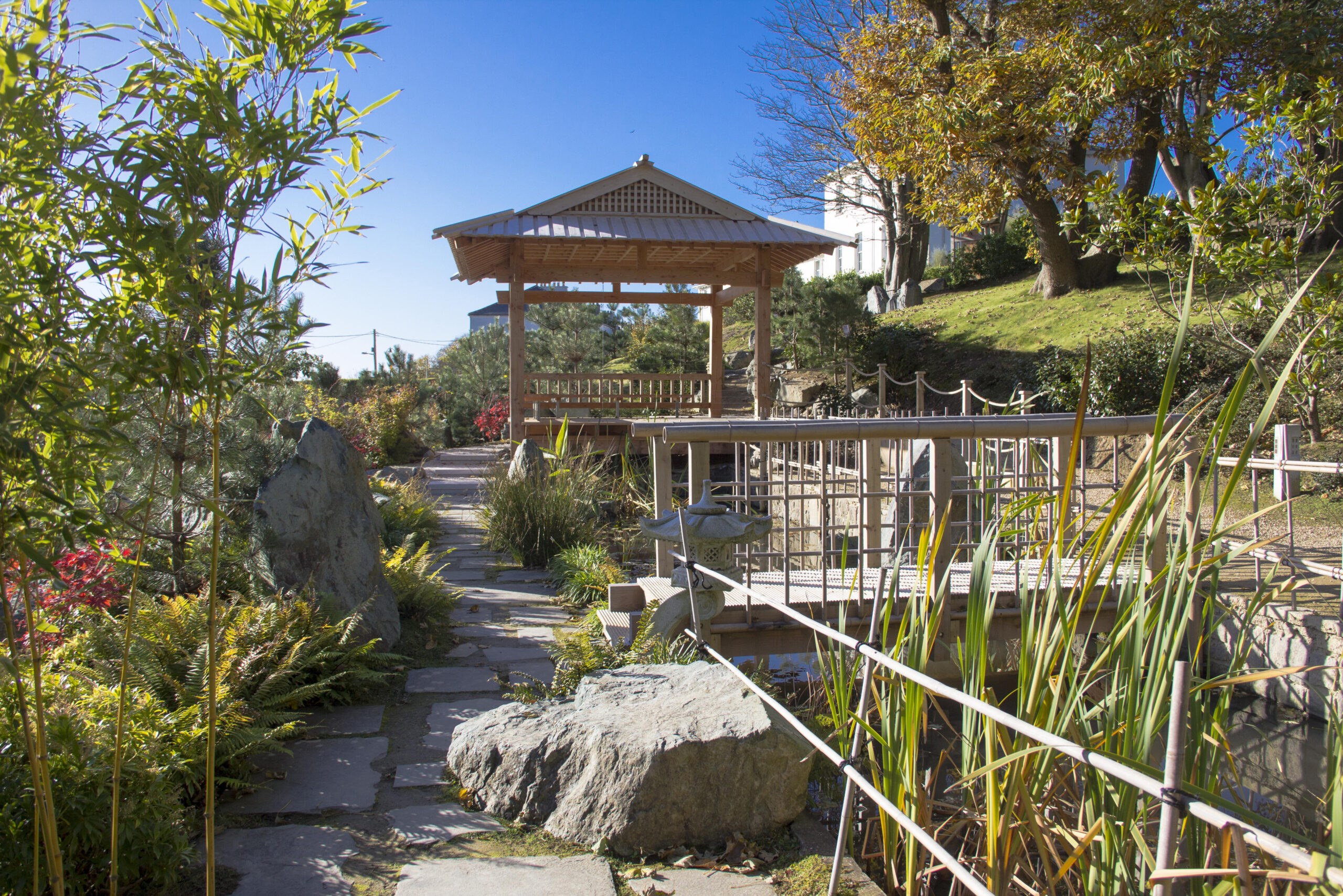 Lafcadio Hearn Japanese Gardens: A Hidden Eden in Waterford
