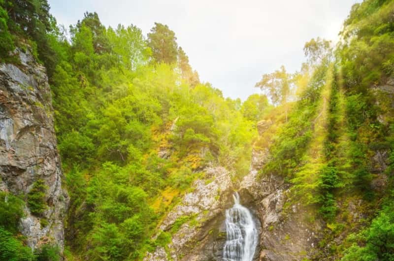 Falls of Foyers & Hidden Loch Ness Shoreline Wilderness Walk