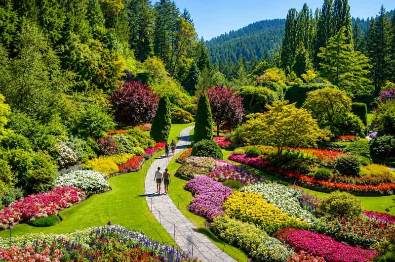 Butchart Gardens: After-Hours Illuminations & Private Garden Walk