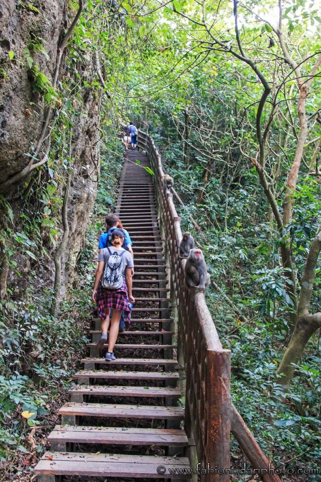 Shoushan (Monkey Mountain): Guided Jungle Trek & Harbour Panoramas