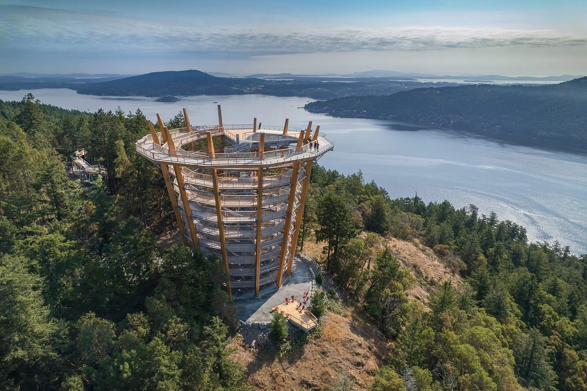 Malahat Skywalk: Spiral Tower & Forest Canopy Walk Above Saanich Inlet