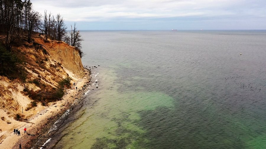 Kępa Redłowska Clifftop Walk & Orłowo Pier: The Baltic at Its Most Wild